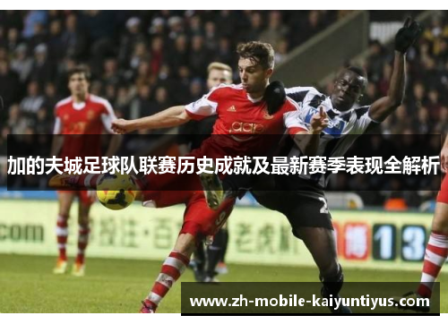 加的夫城足球队联赛历史成就及最新赛季表现全解析