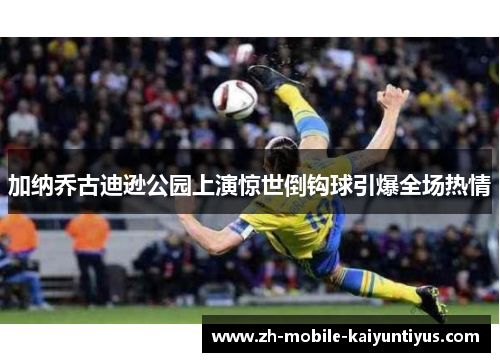 加纳乔古迪逊公园上演惊世倒钩球引爆全场热情