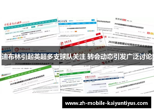 迪布林引起英超多支球队关注 转会动态引发广泛讨论 迪布林引起英超多支球队关注 转会动态引发广泛讨论
